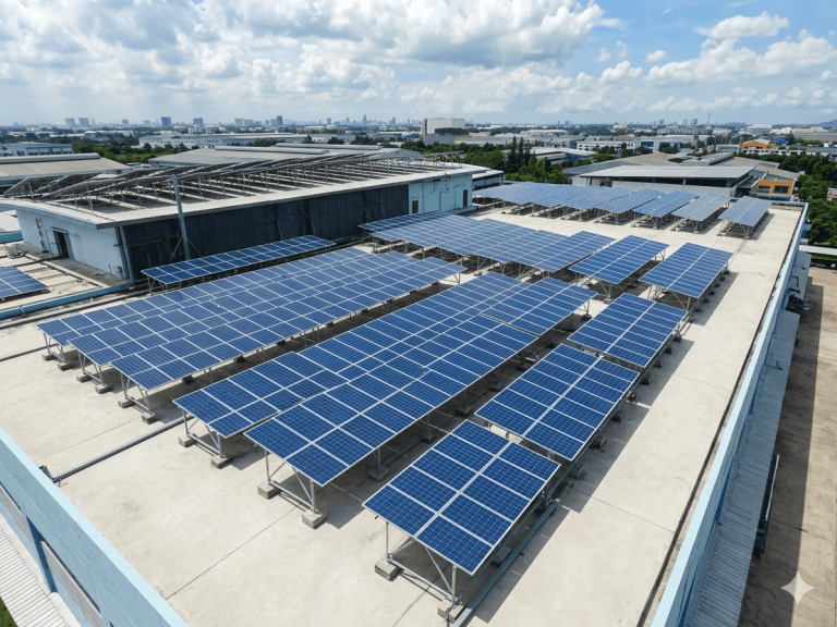 Sustainability & Innovation